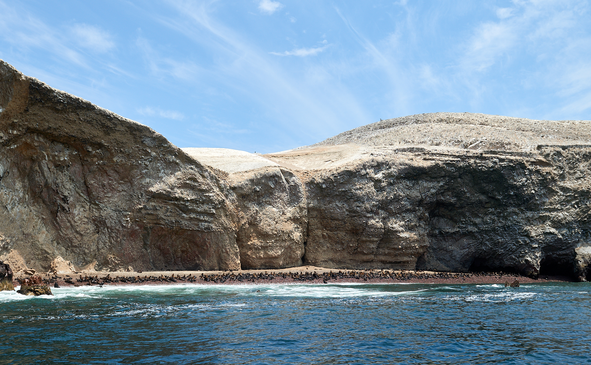 20200304 208 [페루] 바예스타섬